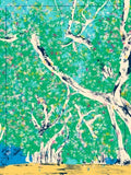 Banyan Street — Boca Grande Print