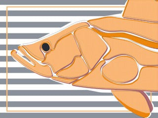 Snook — Boca Grande Print