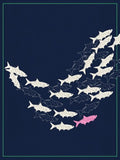 Tarpon Swimming — Boca Grande Print